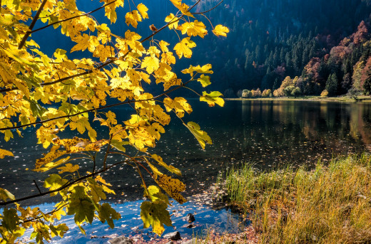 1754043 (a): :3000x1974